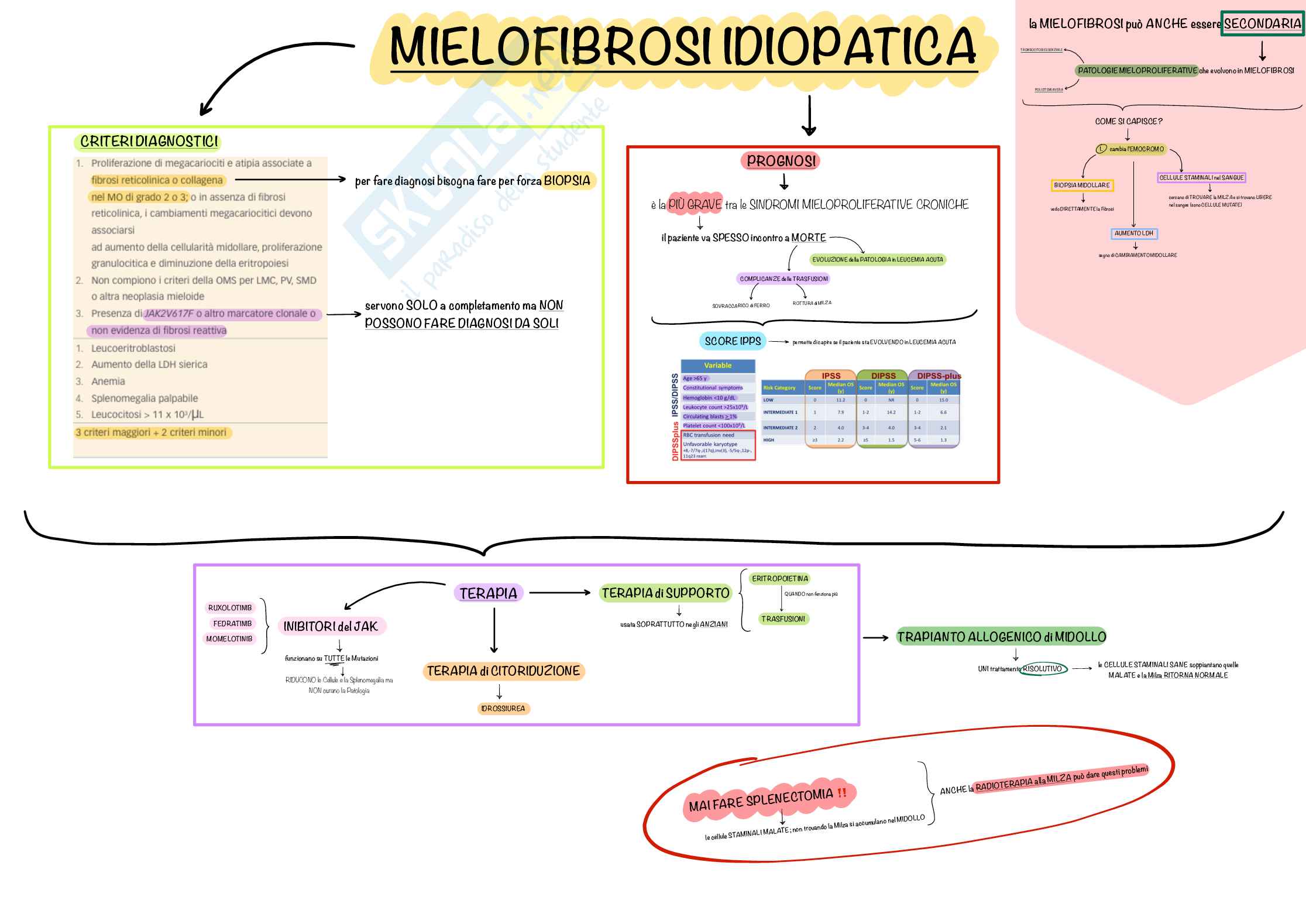 Mappe Concettuali CHIARE e PRECISE di Ematologia e Malattie del Sangue, Schemi e mappe concettuali di Ematologia Pag. 31