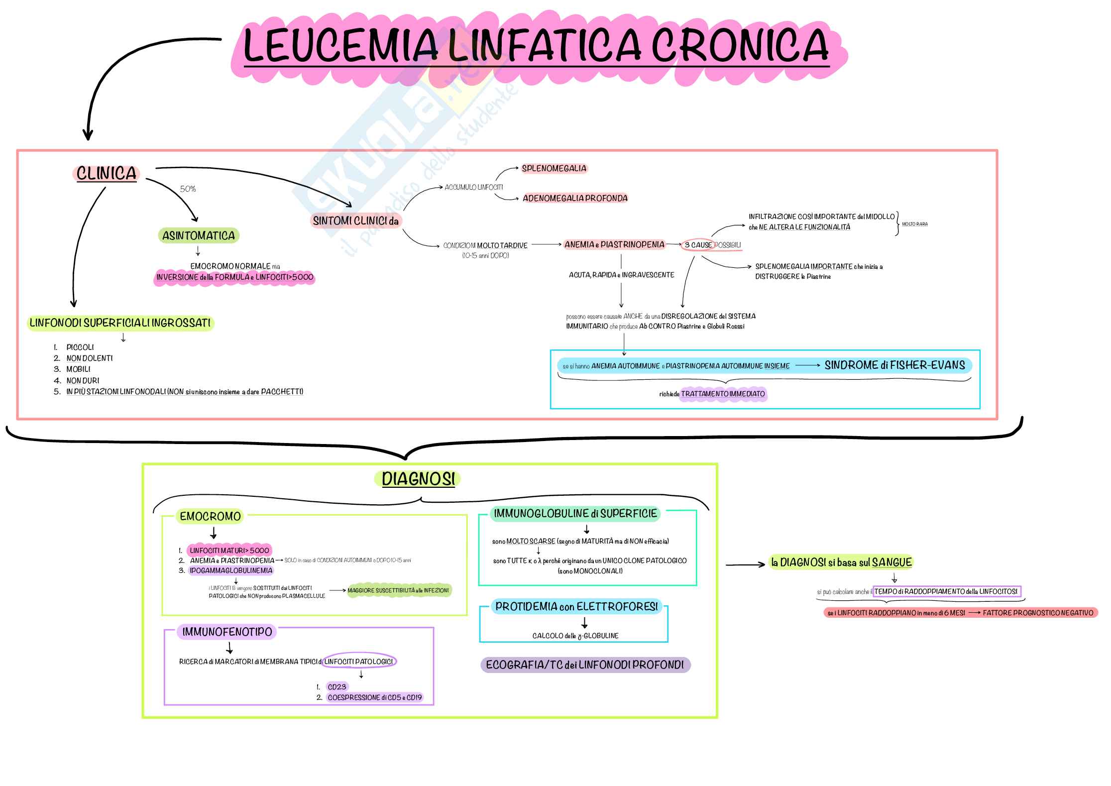 Mappe Concettuali CHIARE e PRECISE di Ematologia e Malattie del Sangue, Schemi e mappe concettuali di Ematologia Pag. 36