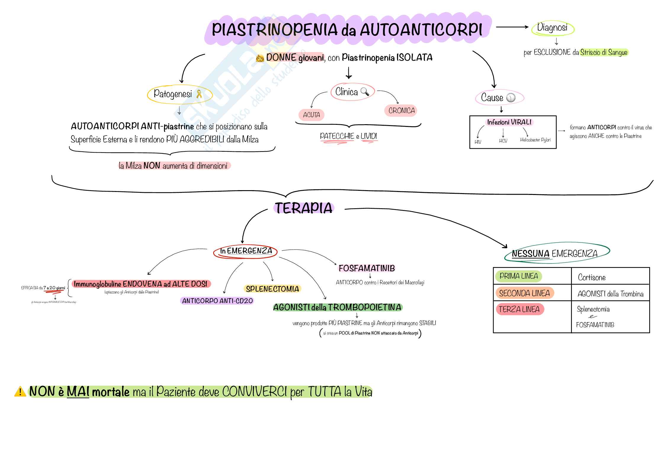 Mappe Concettuali CHIARE e PRECISE di Ematologia e Malattie del Sangue, Schemi e mappe concettuali di Ematologia Pag. 6