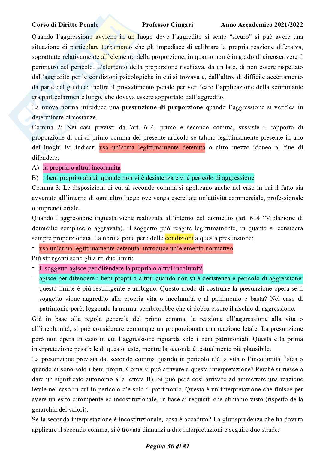 Riassunto esame Diritto penale, parte generale, Prof. Cingari Francesco, libro consigliato Corso di diritto penale, parte generale, Palazzo, Bartoli  Pag. 56
