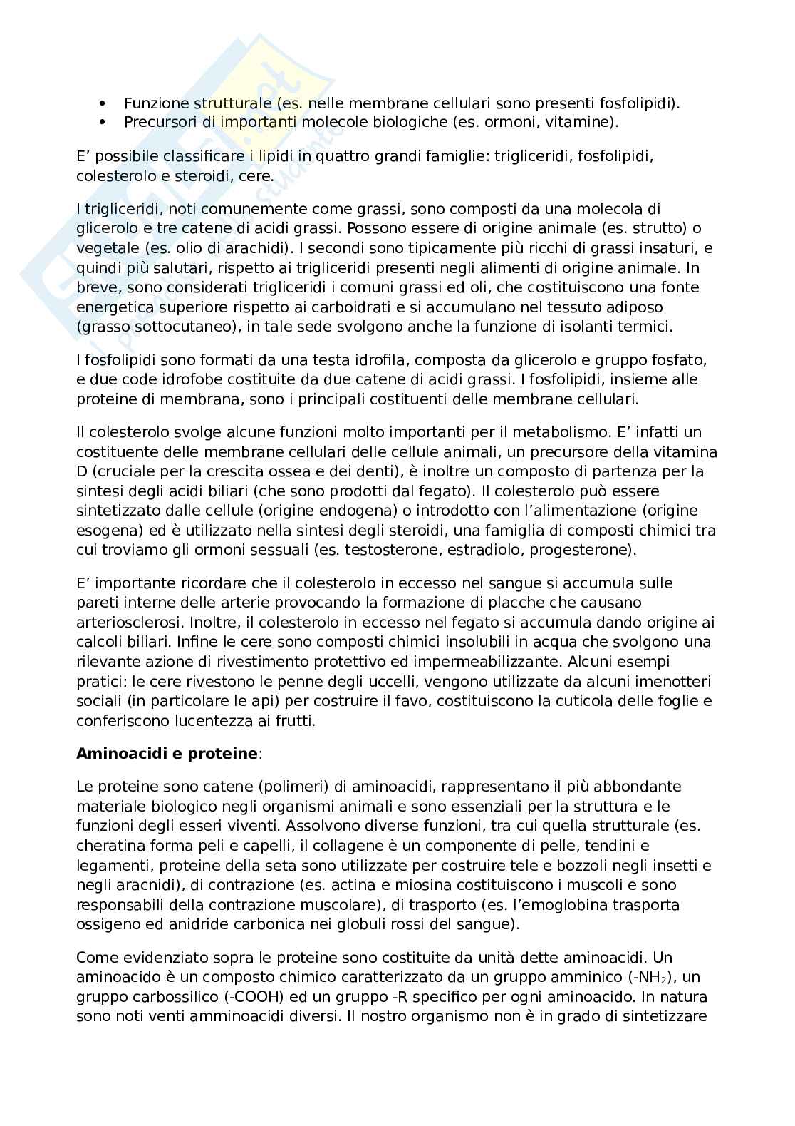 Generalità su struttura e funzione delle macromolecole biologiche Pag. 2