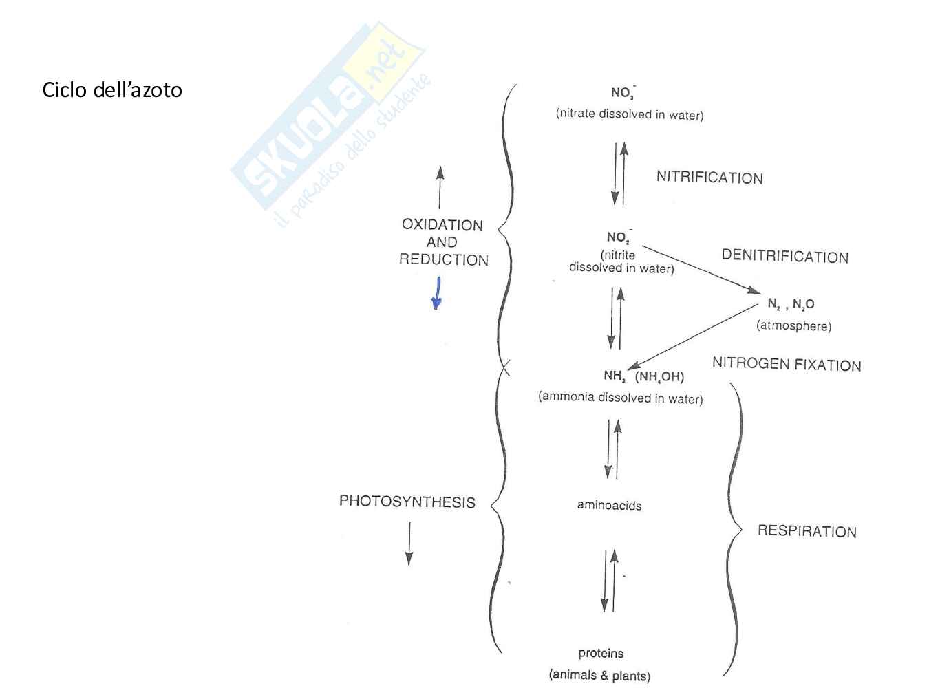 Chimica ambientale - Terza parte Pag. 6