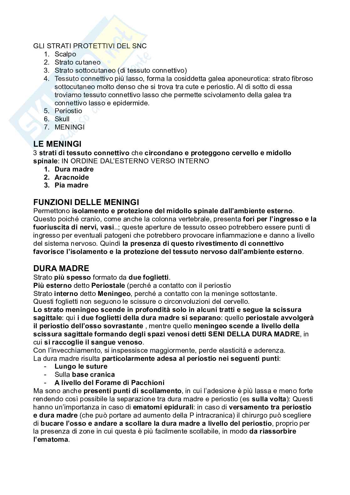 Meningi e midollo spinale Pag. 1