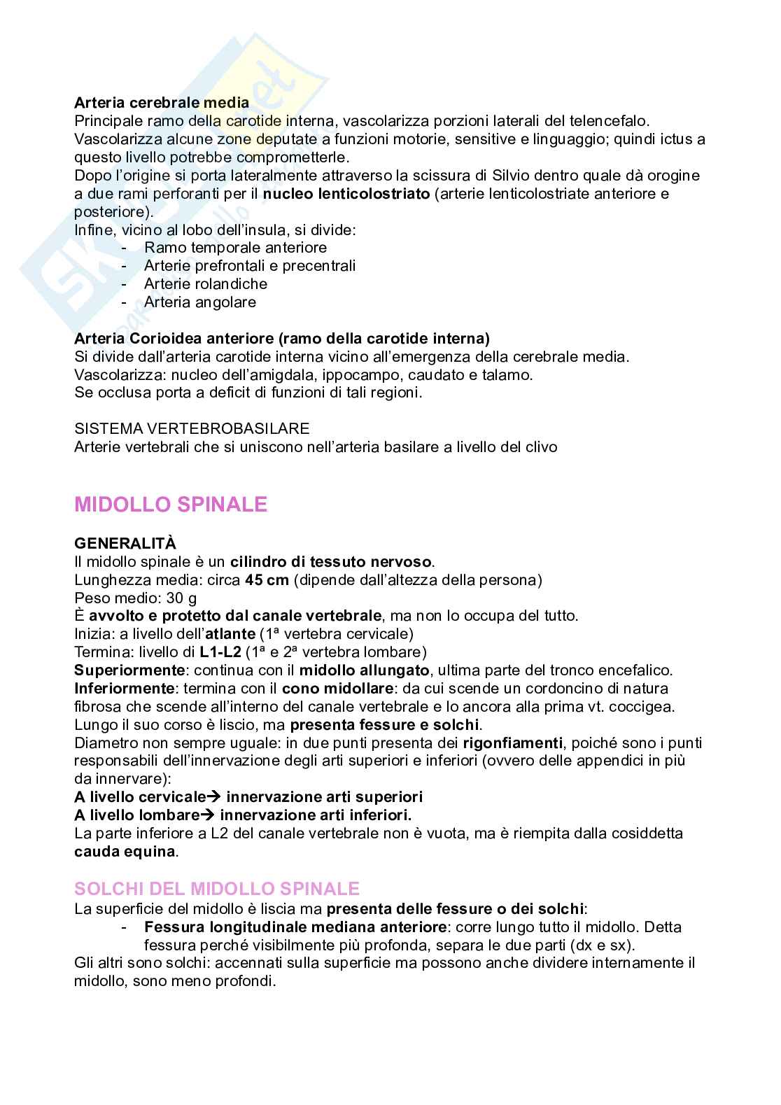 Meningi e midollo spinale Pag. 11