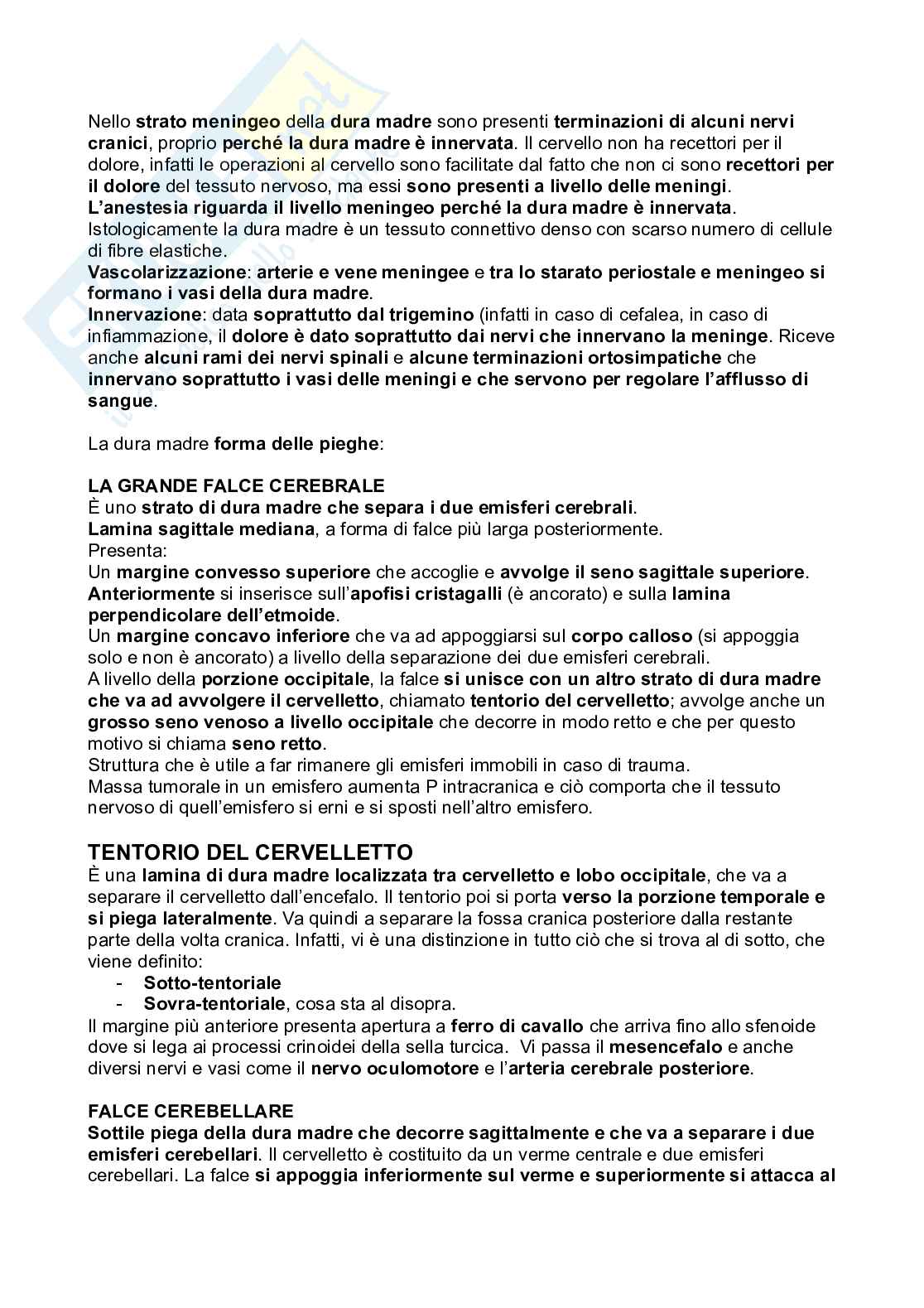 Meningi e midollo spinale Pag. 2