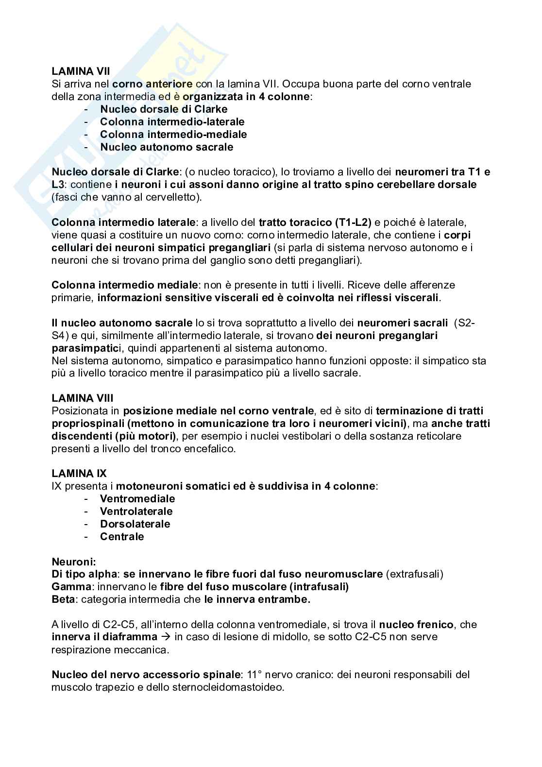 Meningi e midollo spinale Pag. 21