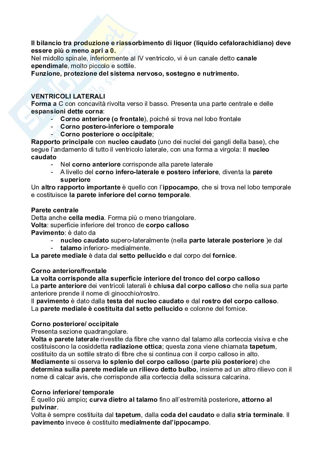 Meningi e midollo spinale Pag. 6