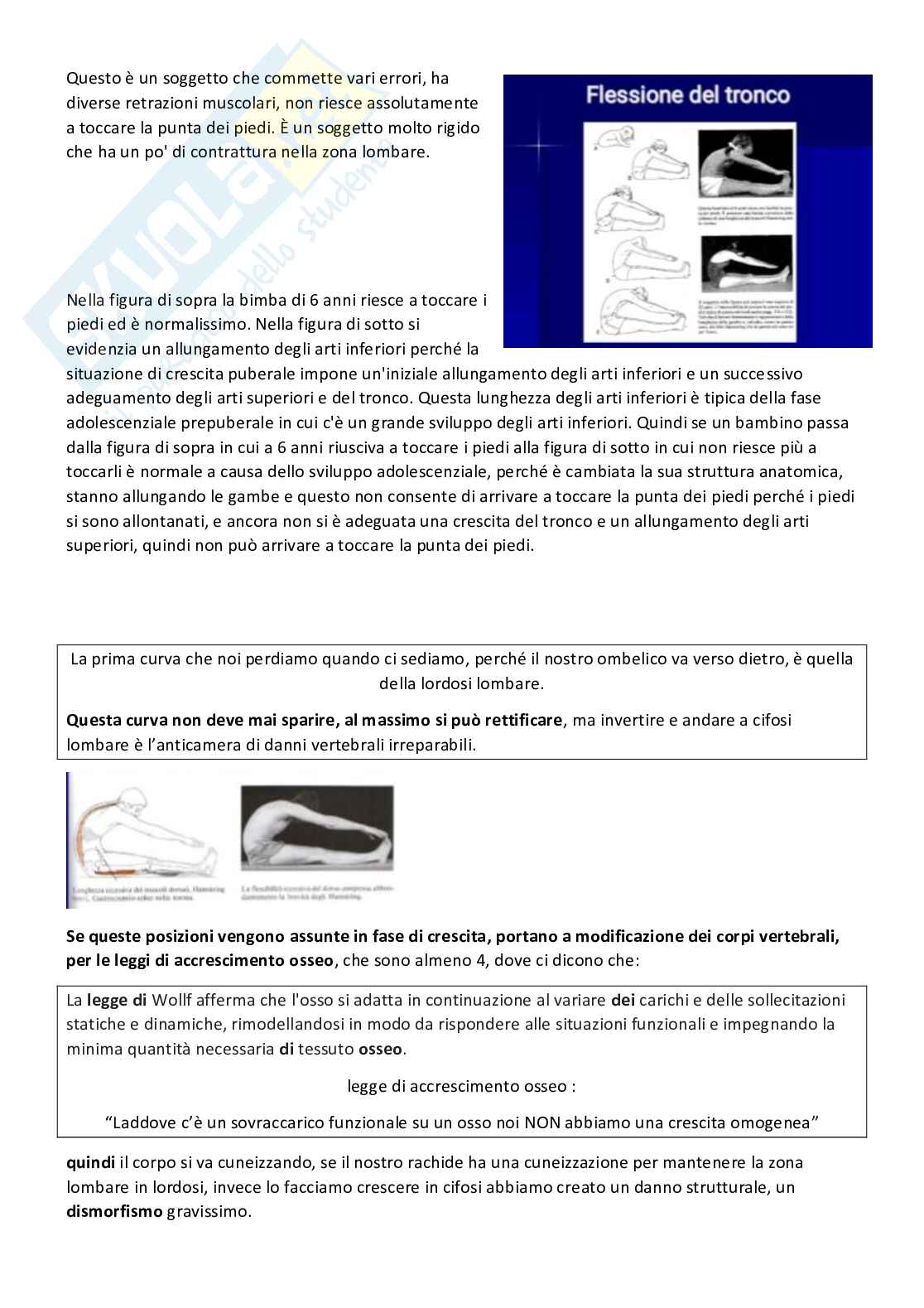 Attività motorie preventive e compensative - Appunti di lezioni teoriche e pratiche Pag. 21