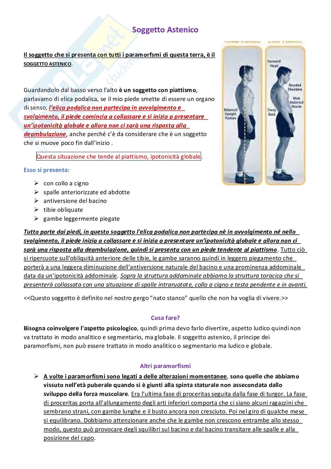 Attività motorie preventive e compensative - Appunti di lezioni teoriche e pratiche Pag. 31