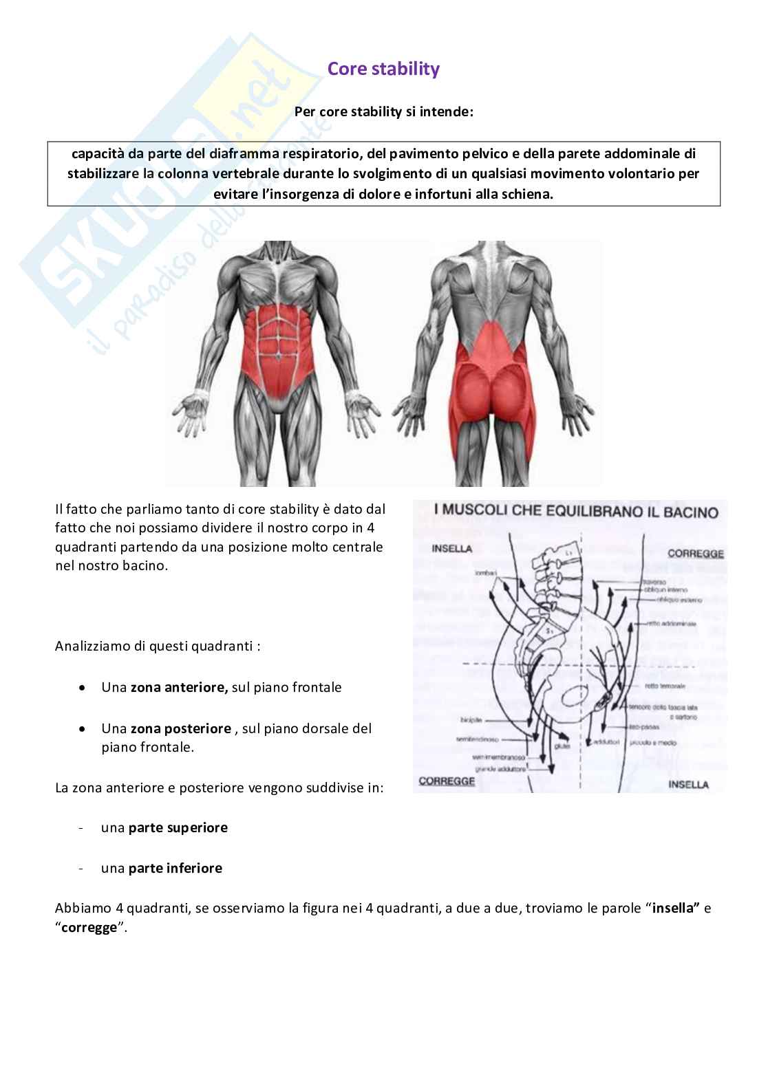 Attività motorie preventive e compensative - Appunti di lezioni teoriche e pratiche Pag. 41