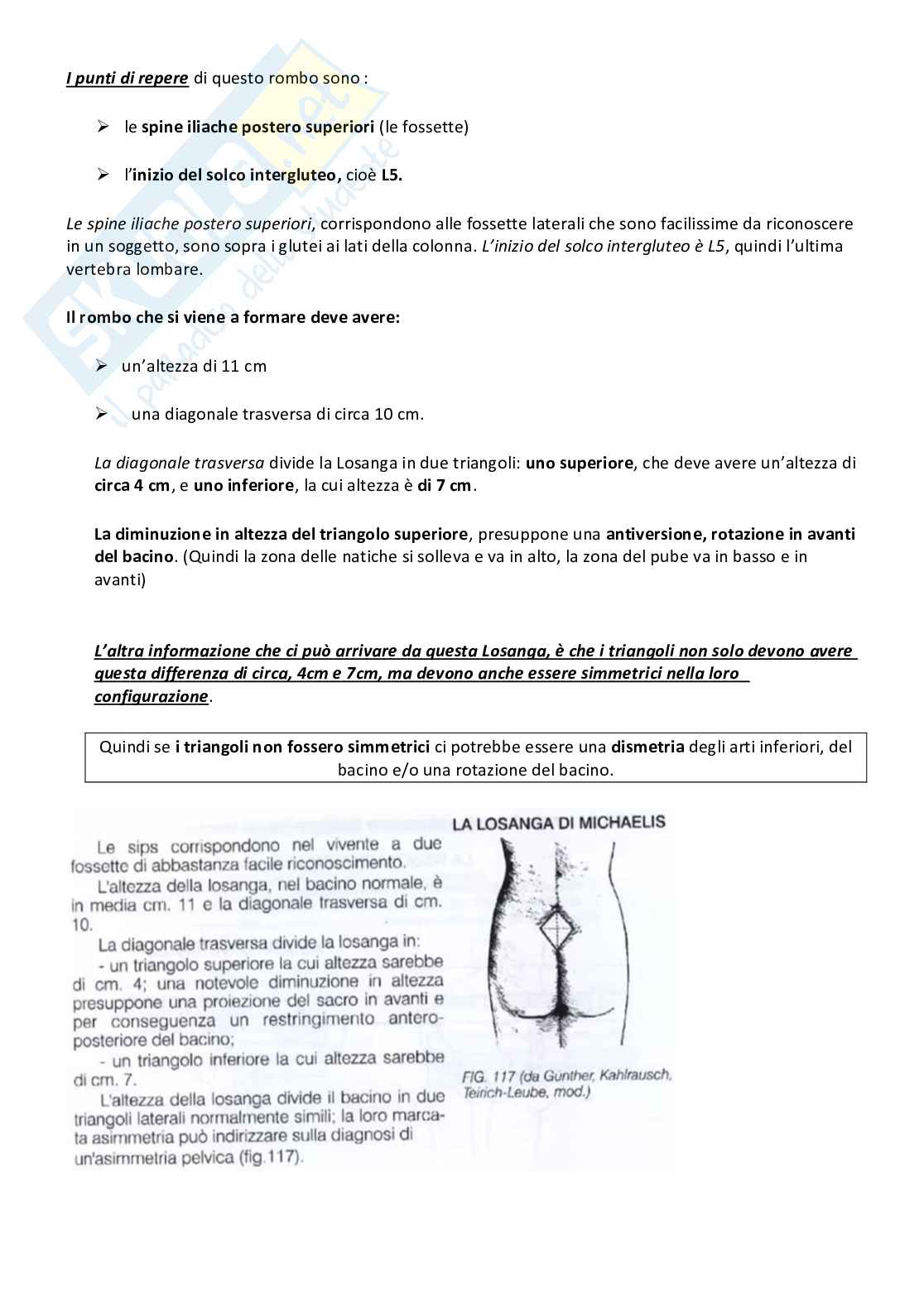 Attività motorie preventive e compensative - Appunti di lezioni teoriche e pratiche Pag. 46