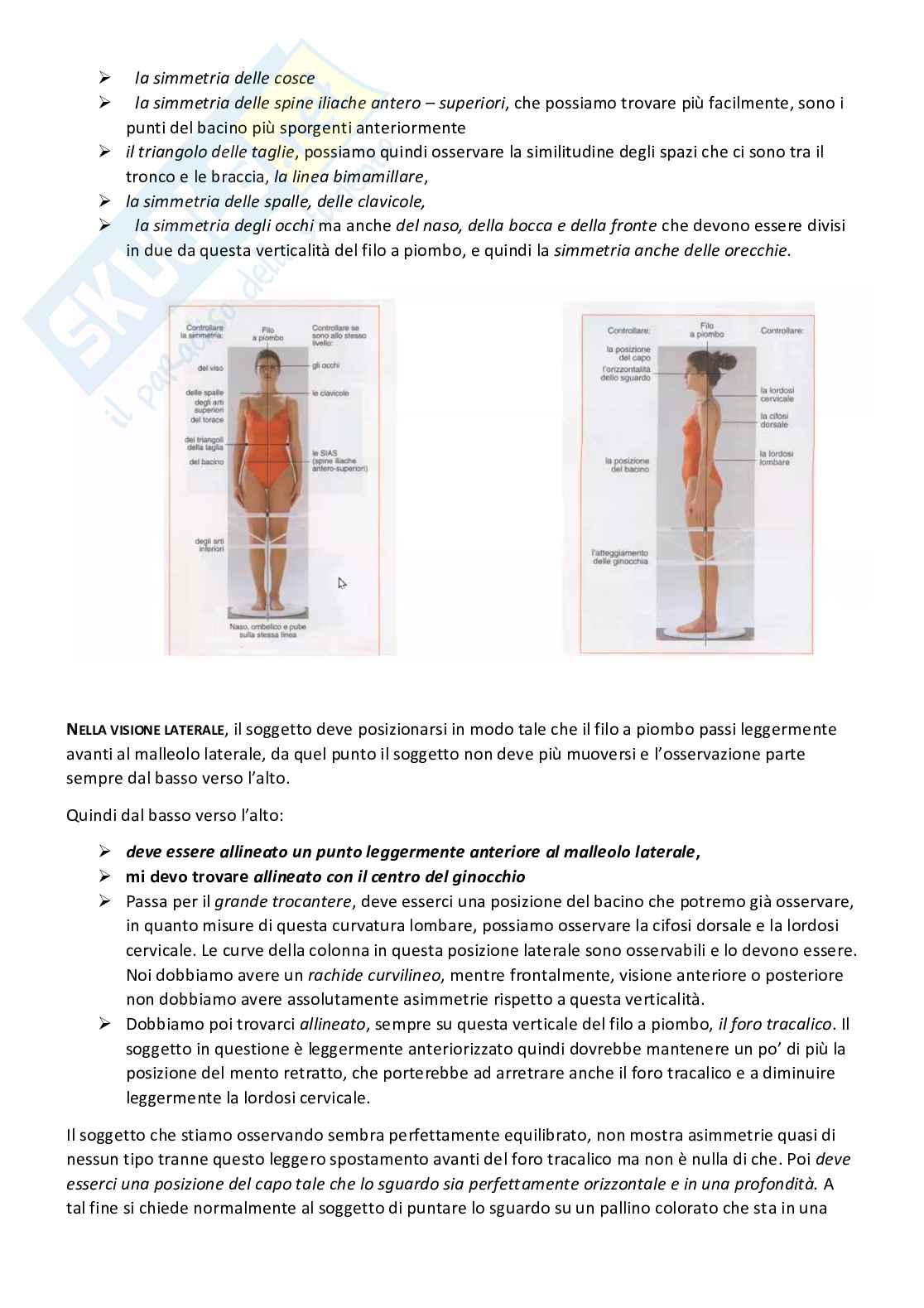 Attività motorie preventive e compensative - Appunti di lezioni teoriche e pratiche Pag. 66