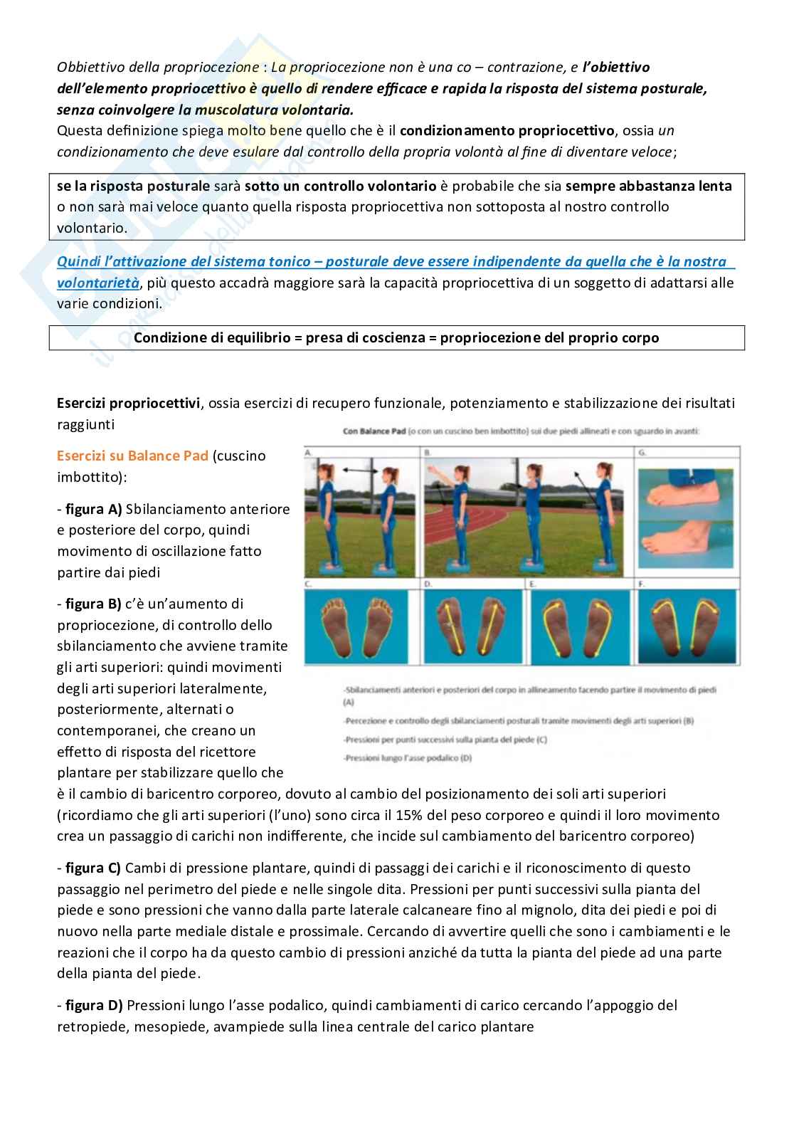 Attività motorie preventive e compensative - Appunti di lezioni teoriche e pratiche Pag. 91