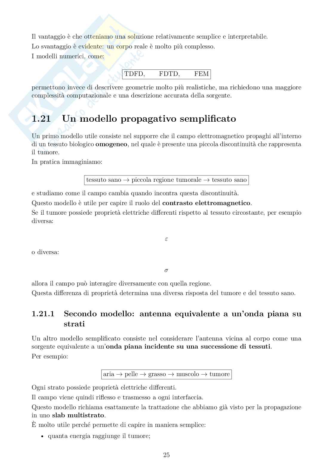Appunti Bioelettromagnetismo Pag. 26