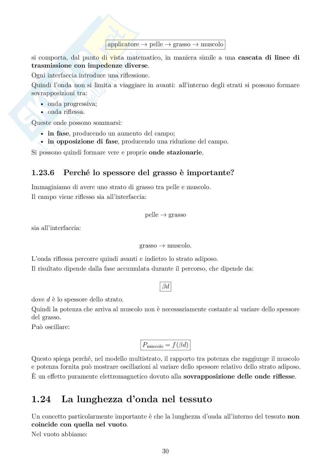 Appunti Bioelettromagnetismo Pag. 31