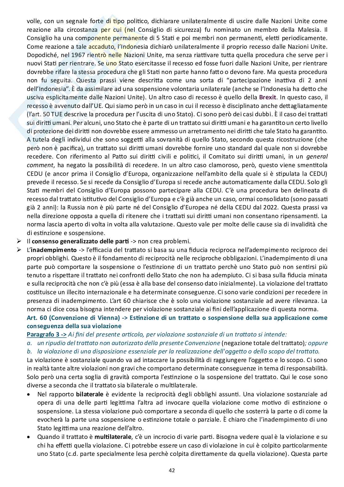 Appunti delle lezioni di Diritto internazionale - Fonti del diritto internazionale  Pag. 41