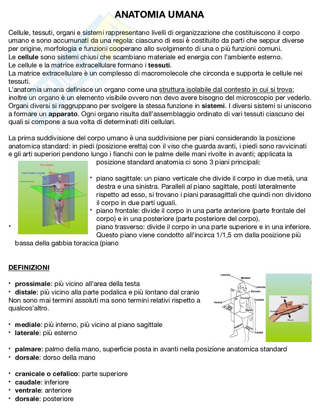 Anatomia umana  Pag. 1