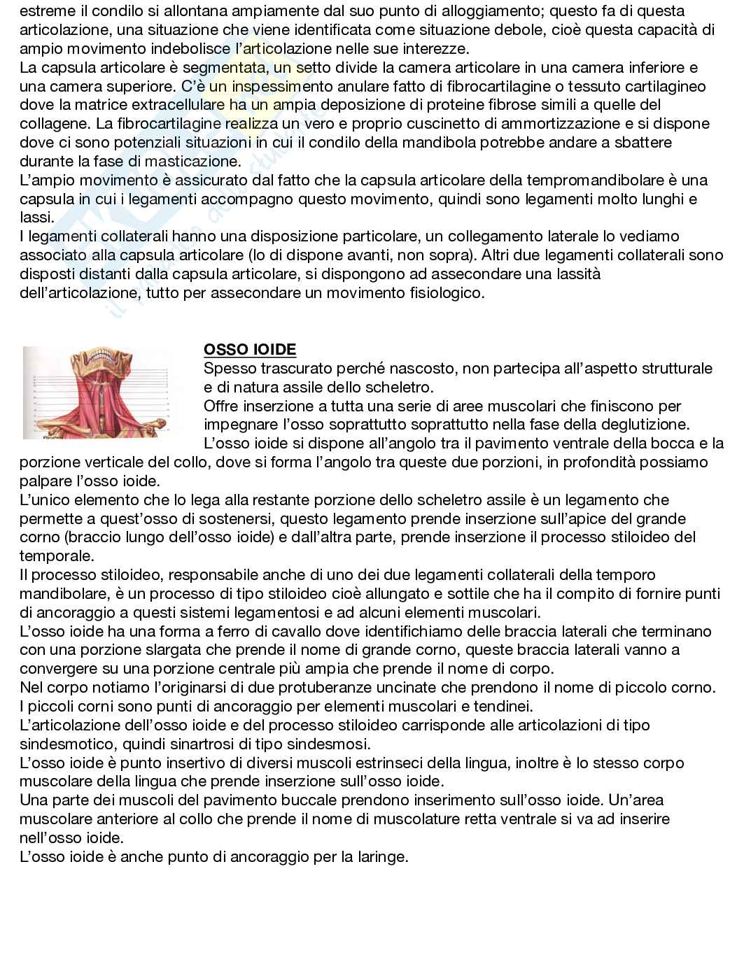 Anatomia umana  Pag. 11