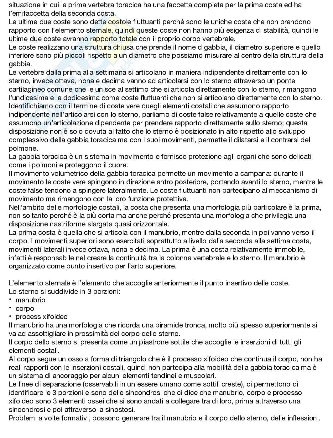 Anatomia umana  Pag. 16