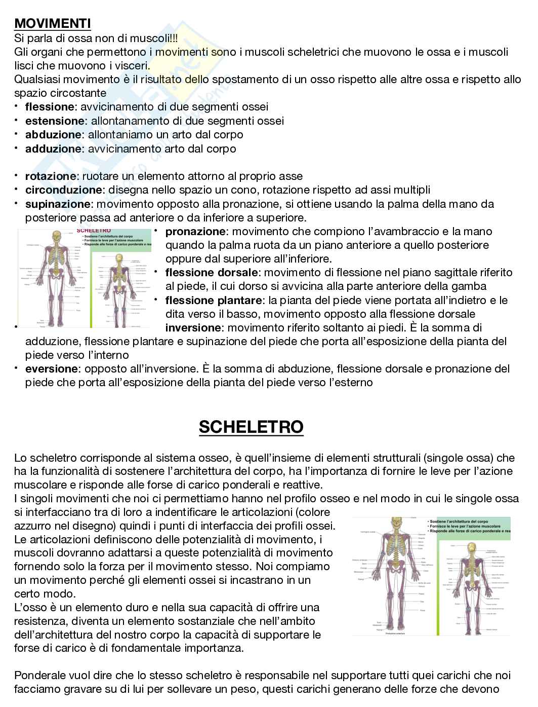 Anatomia umana  Pag. 2