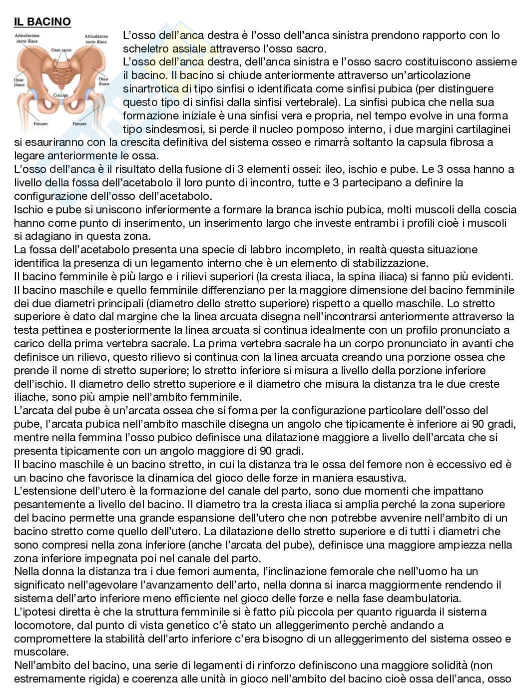 Anatomia umana  Pag. 21