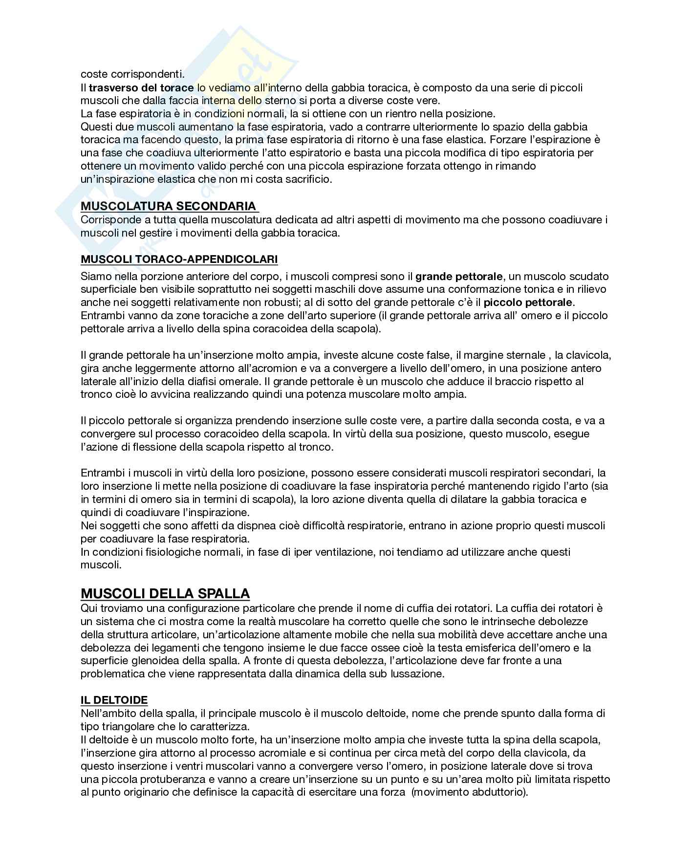 Anatomia umana  Pag. 31