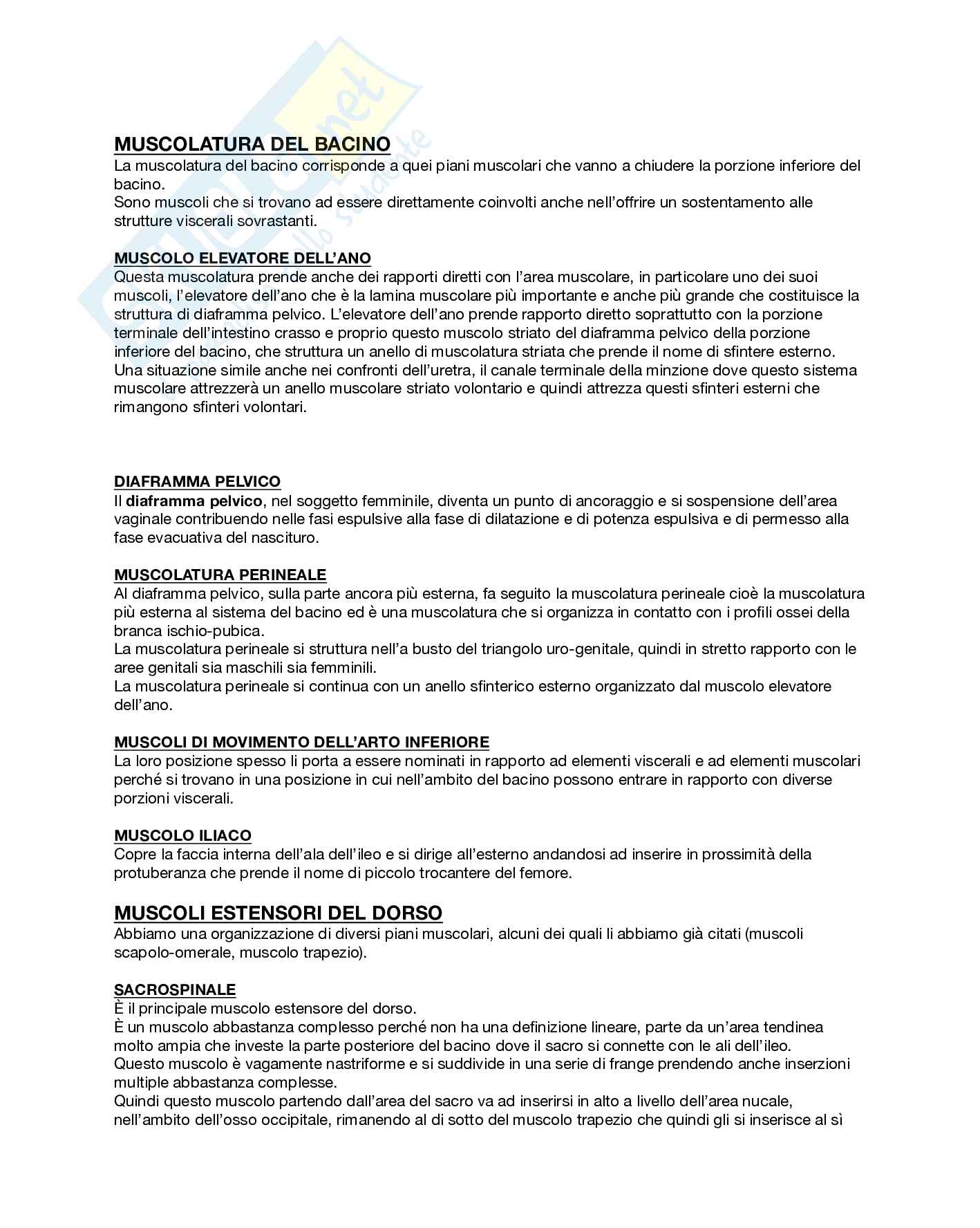 Anatomia umana  Pag. 36