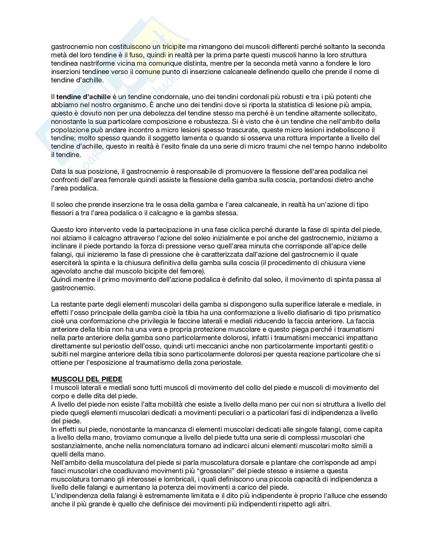 Anatomia umana  Pag. 41