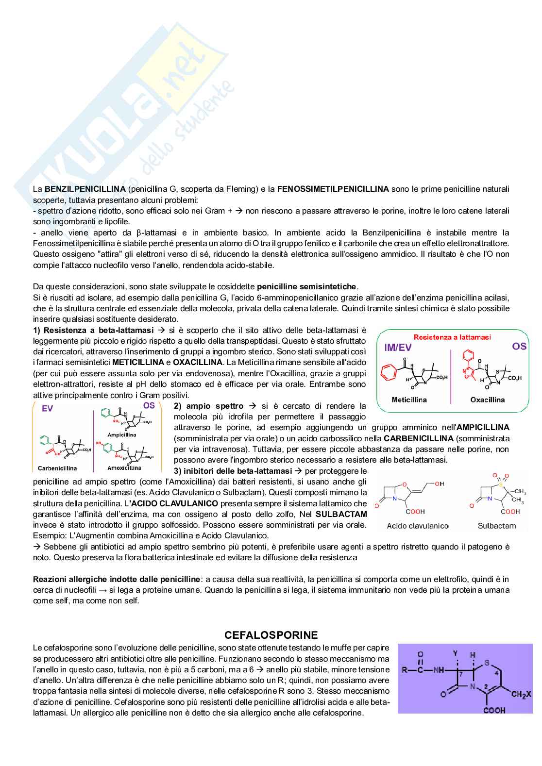 Antibatterici Pag. 2