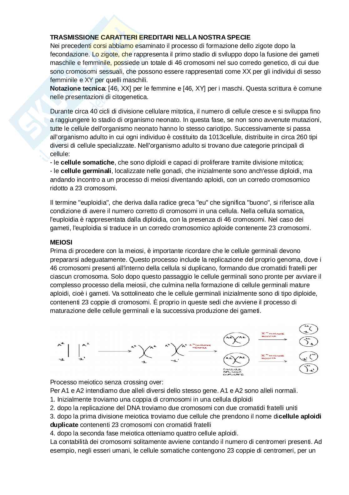 Genetica generale - prima parte Pag. 1
