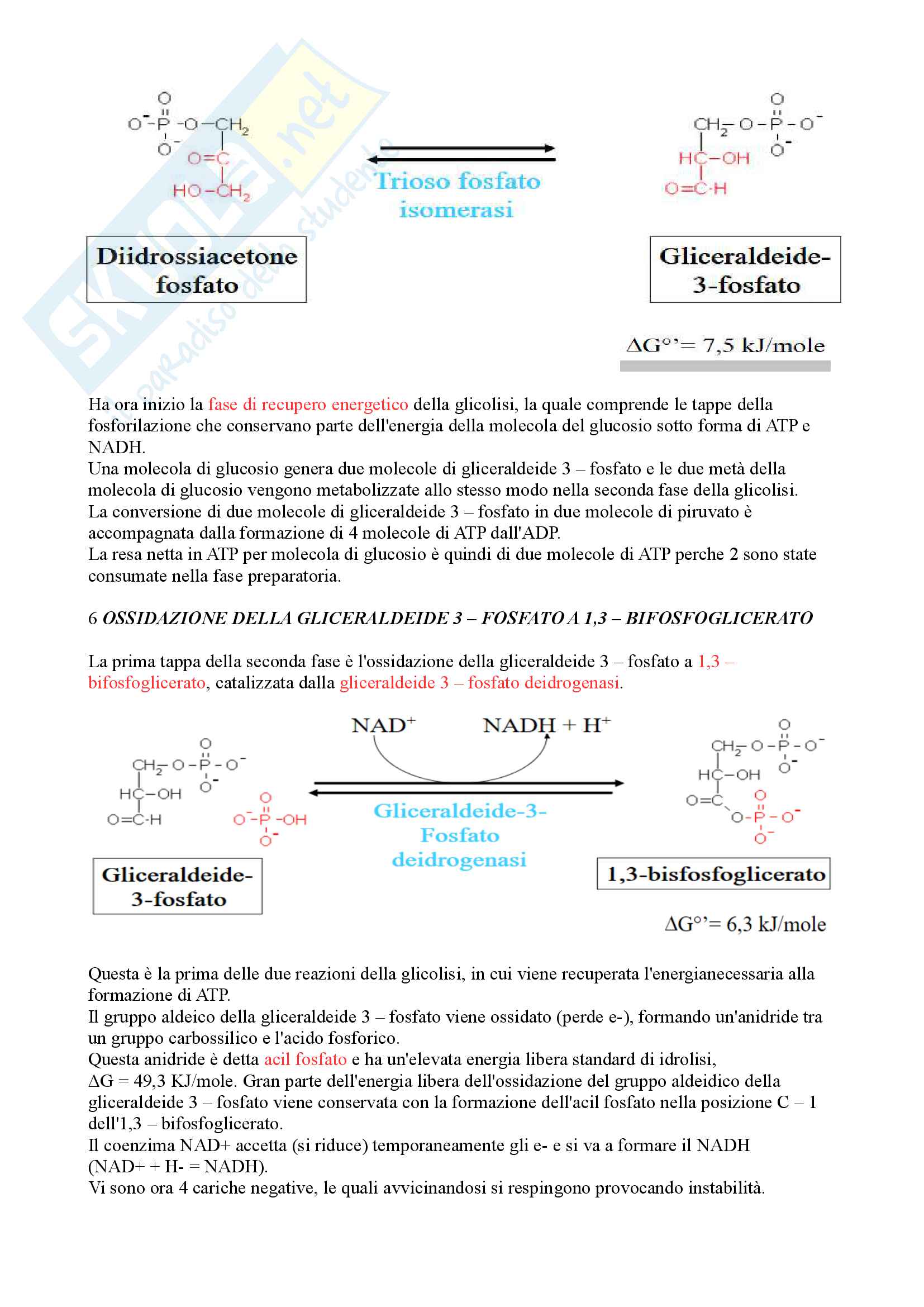 Biochimica 1 Pag. 6