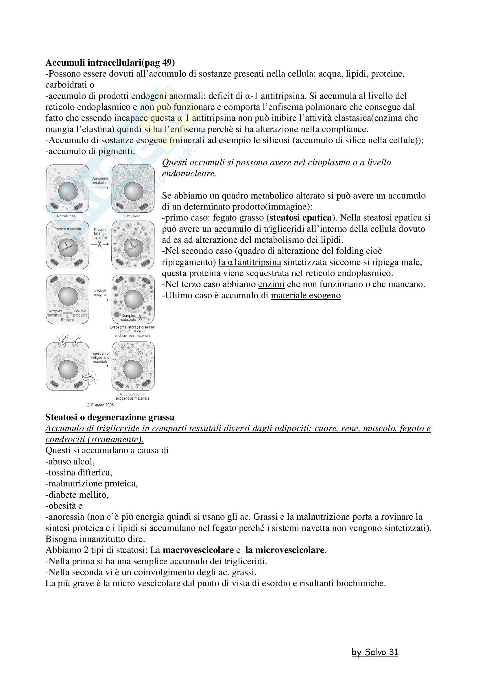 Patologia generale - l'accumulo di sostanze nelle cellule Pag. 1
