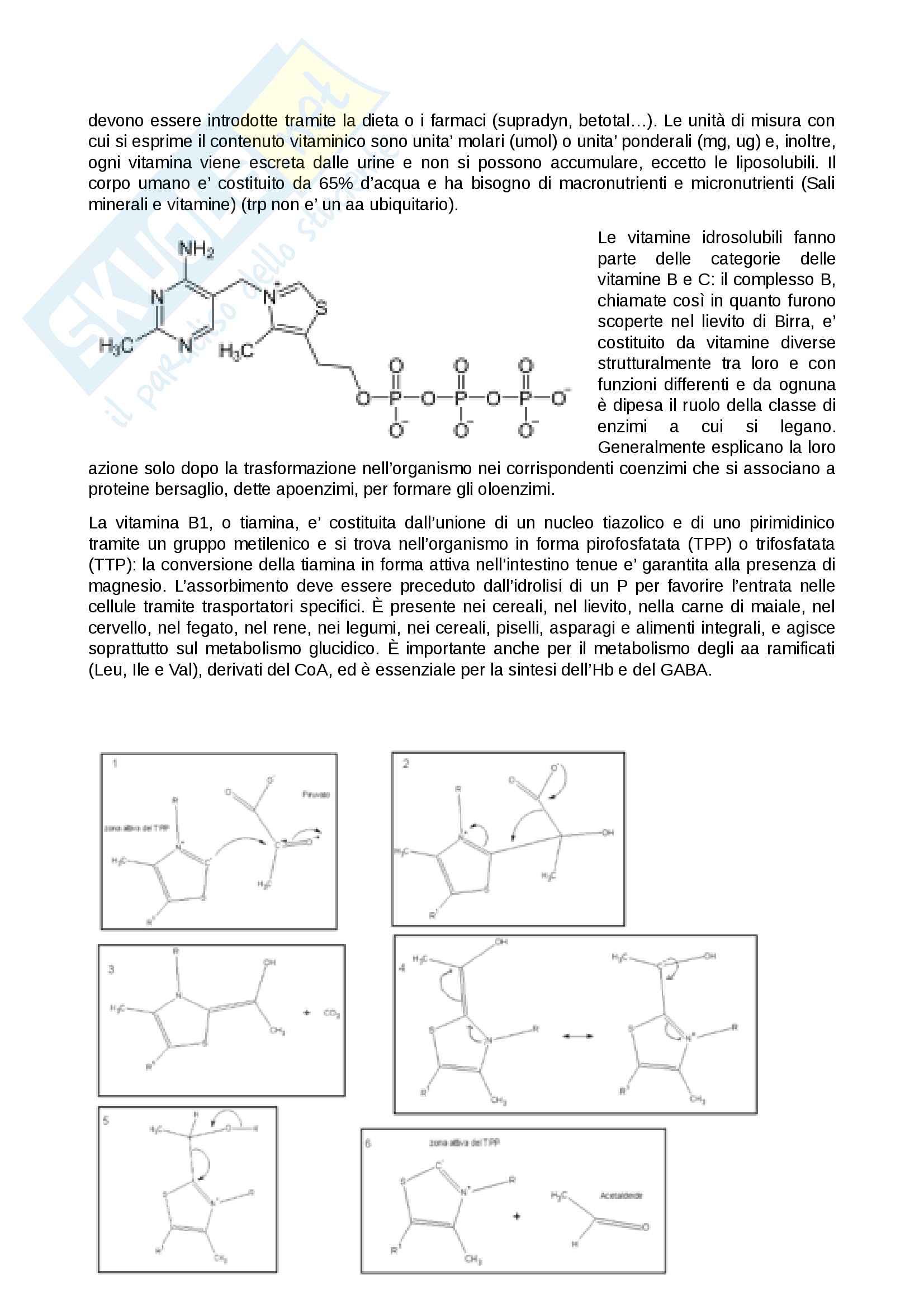 Biochimica Pag. 16