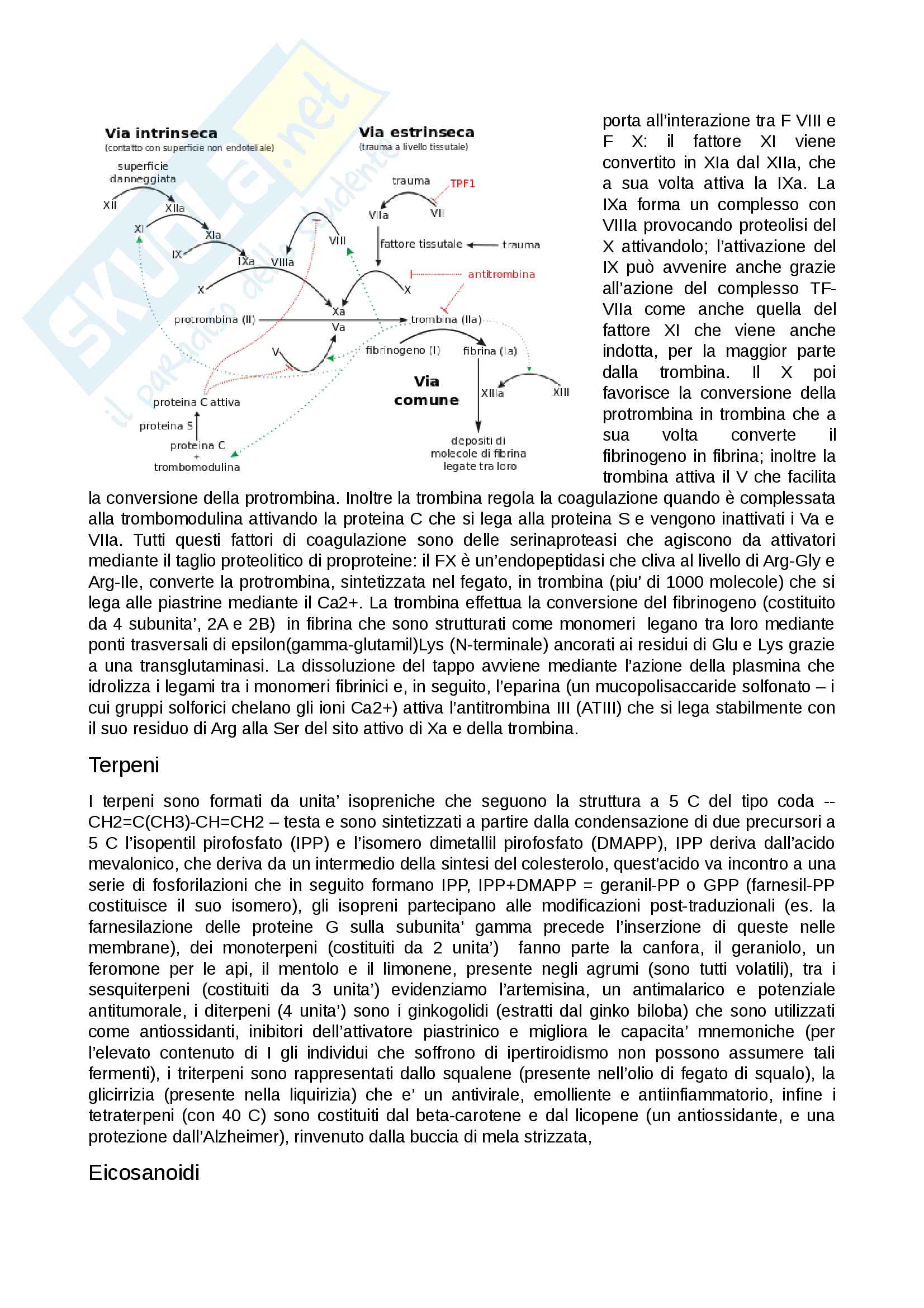 Biochimica Pag. 26