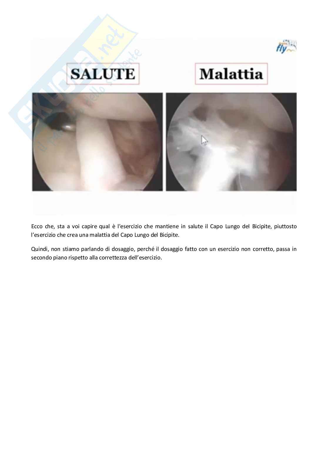Esercizio terapeutico Pag. 21