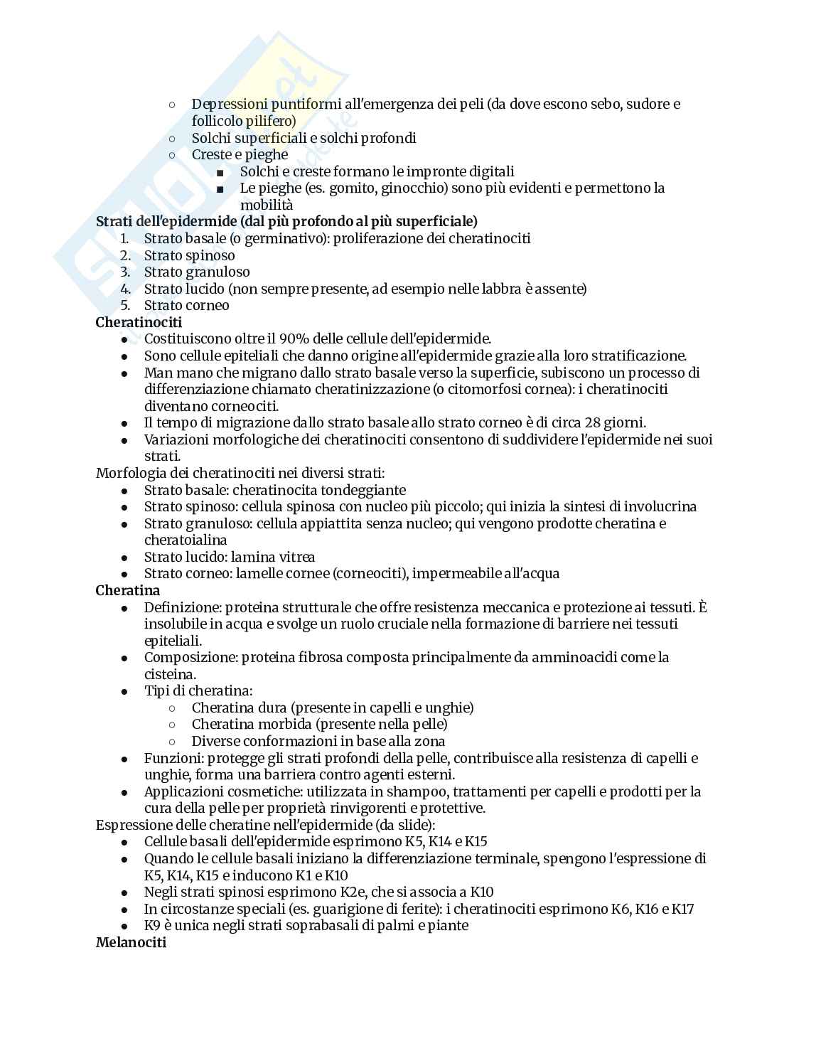 Appunti completi di Anatomia umana Pag. 36