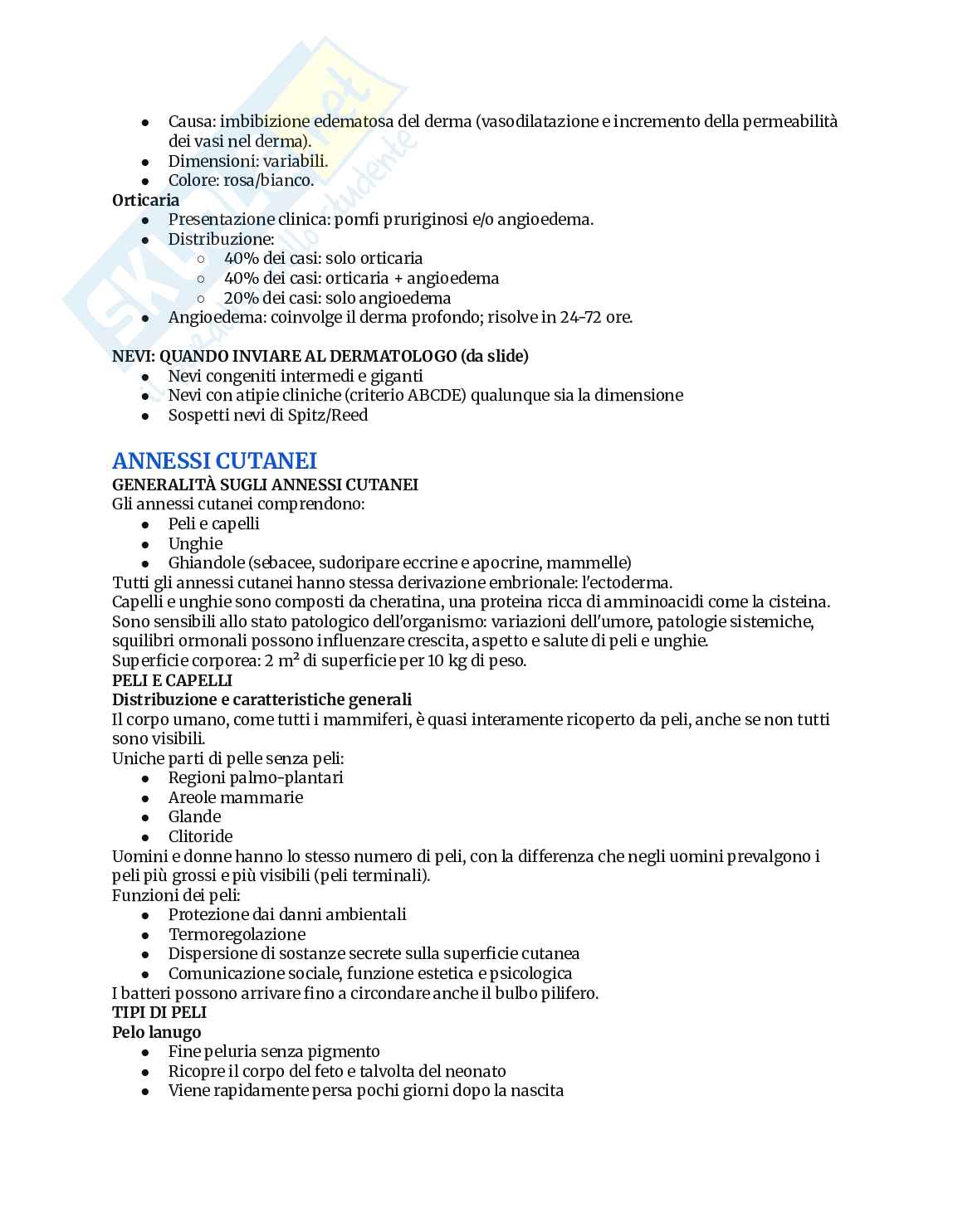 Appunti completi di Anatomia umana Pag. 41