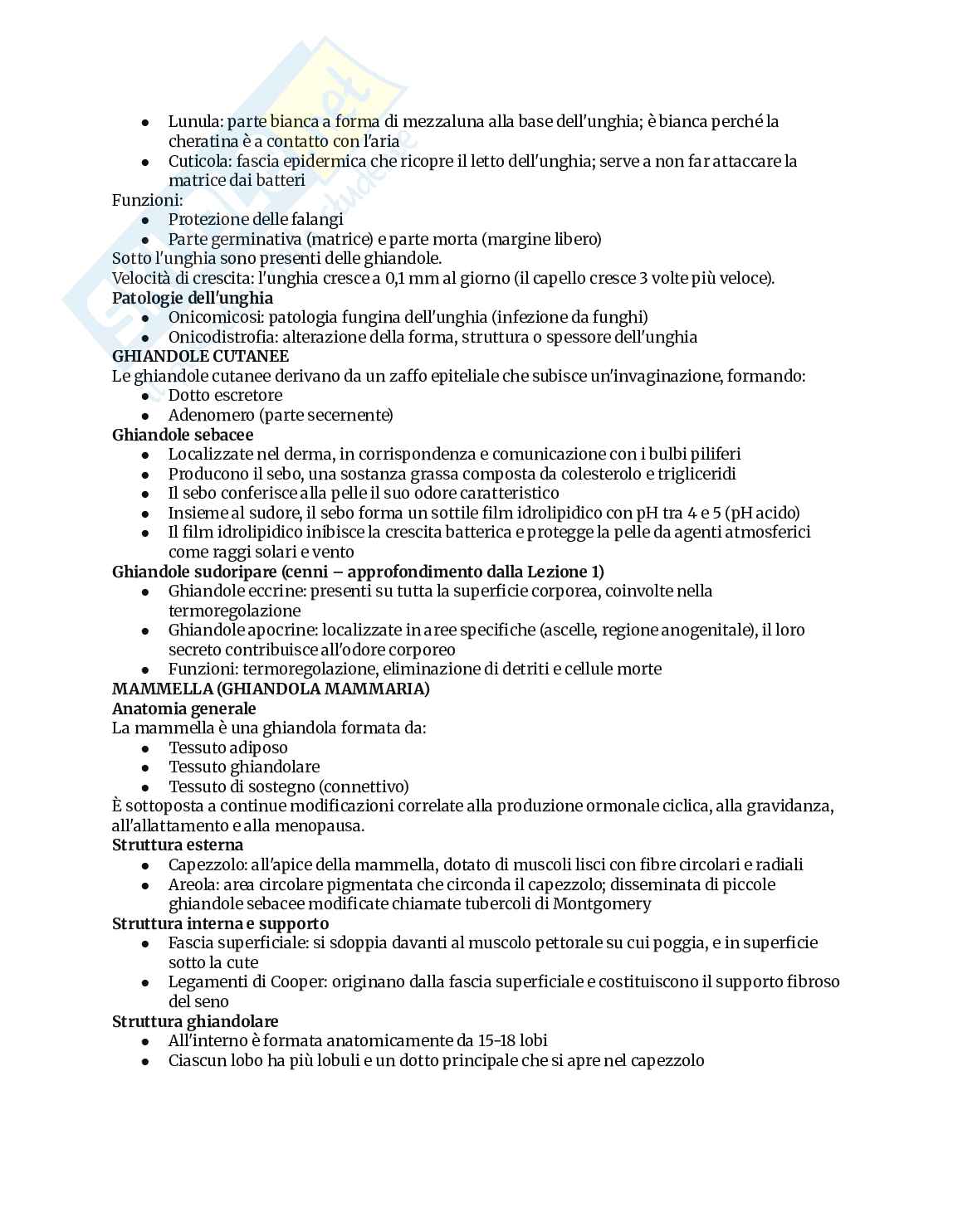 Appunti completi di Anatomia umana Pag. 46