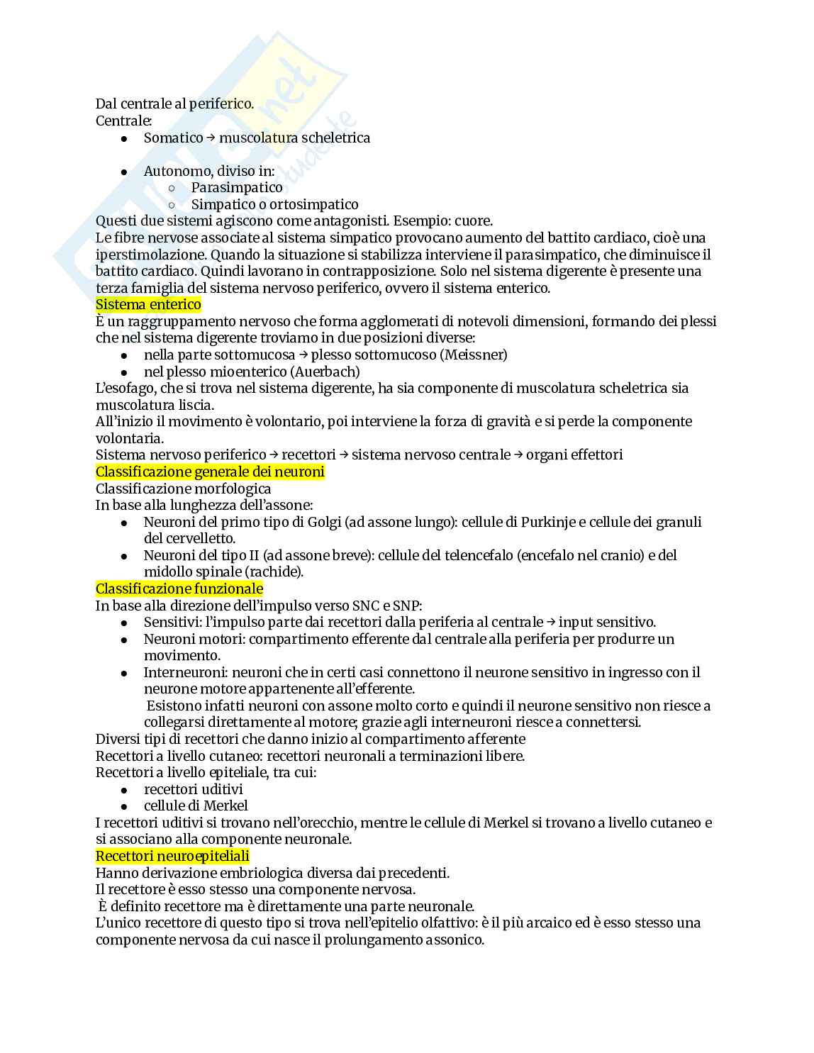Appunti completi di Anatomia umana Pag. 71