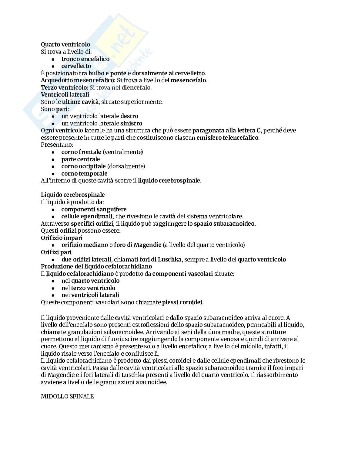 Appunti completi di Anatomia umana Pag. 76