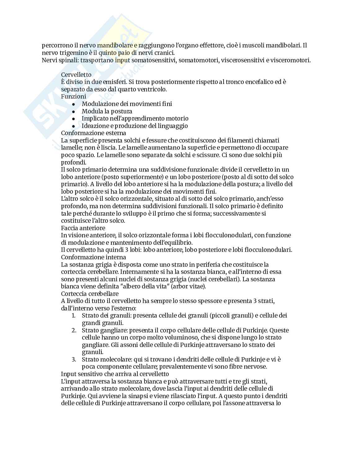 Appunti completi di Anatomia umana Pag. 81