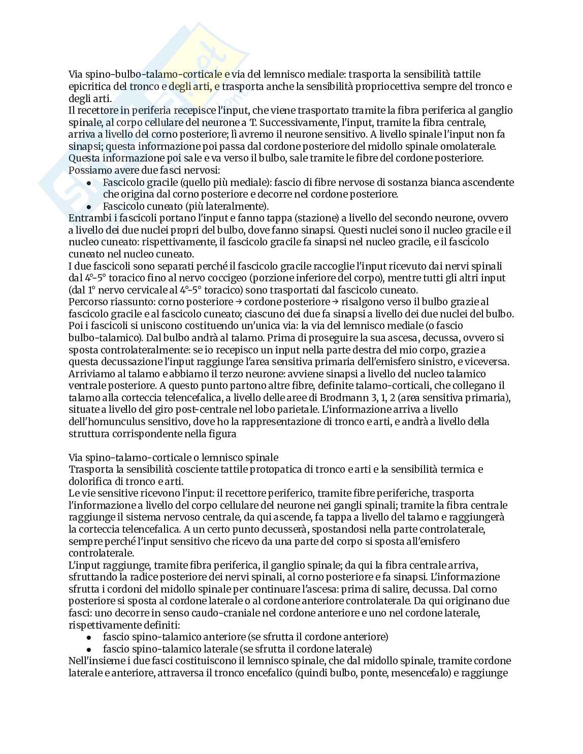 Appunti completi di Anatomia umana Pag. 91