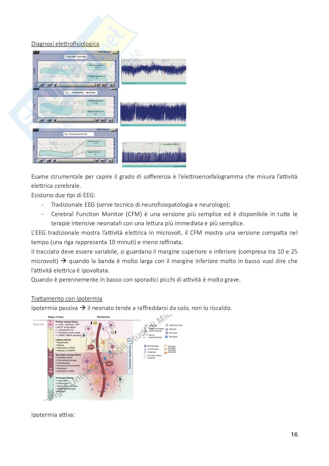 Patologia del puerperio - neonatologia Pag. 16
