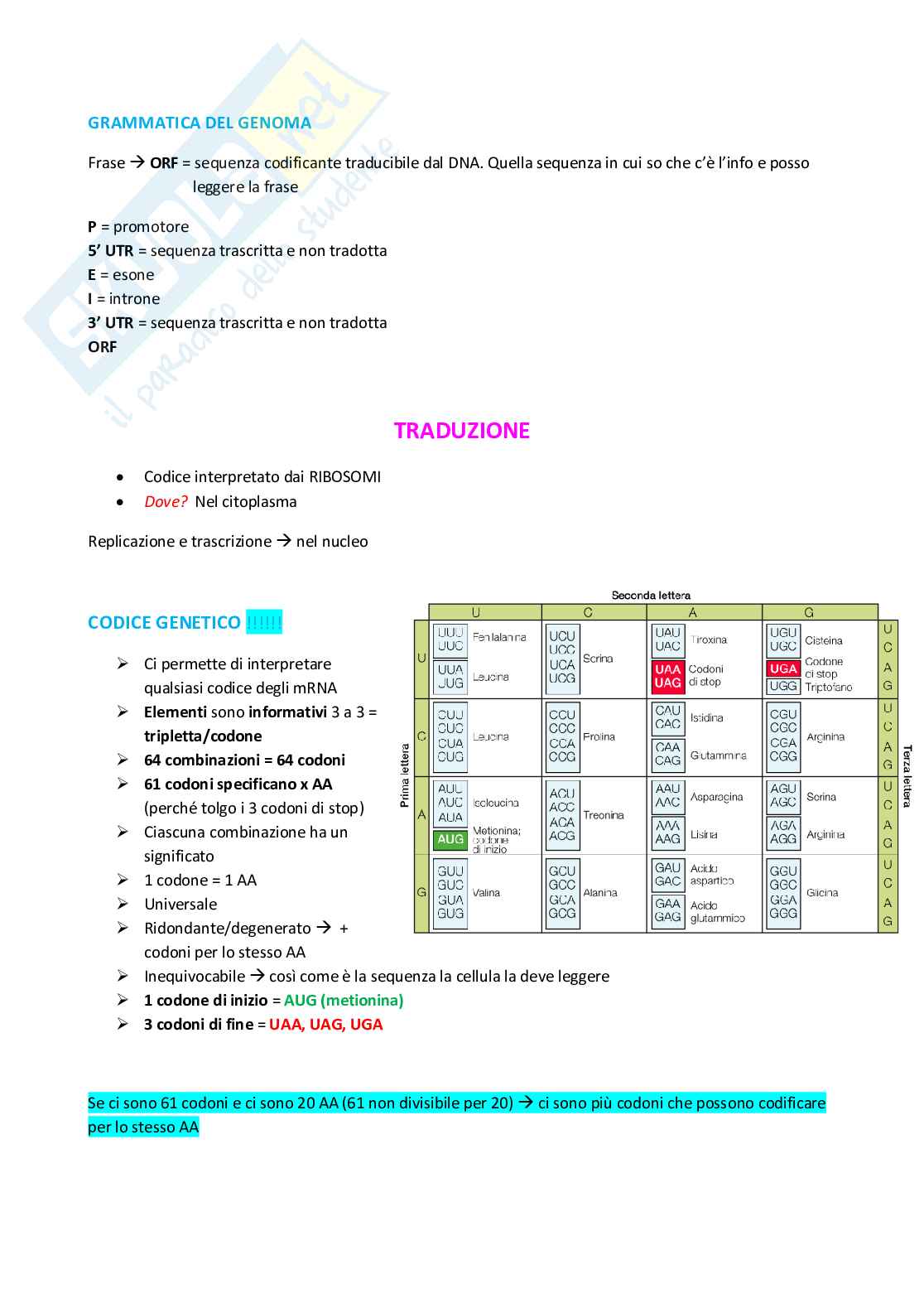 Traduzione Mutazione e mutageni Pag. 2