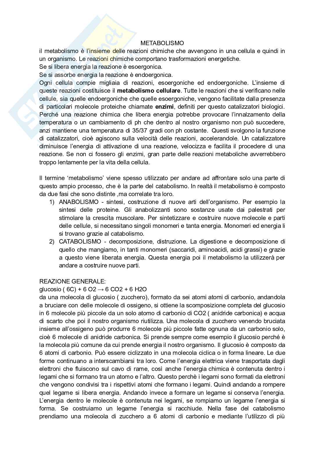 Metabolismo cellulare  Pag. 1