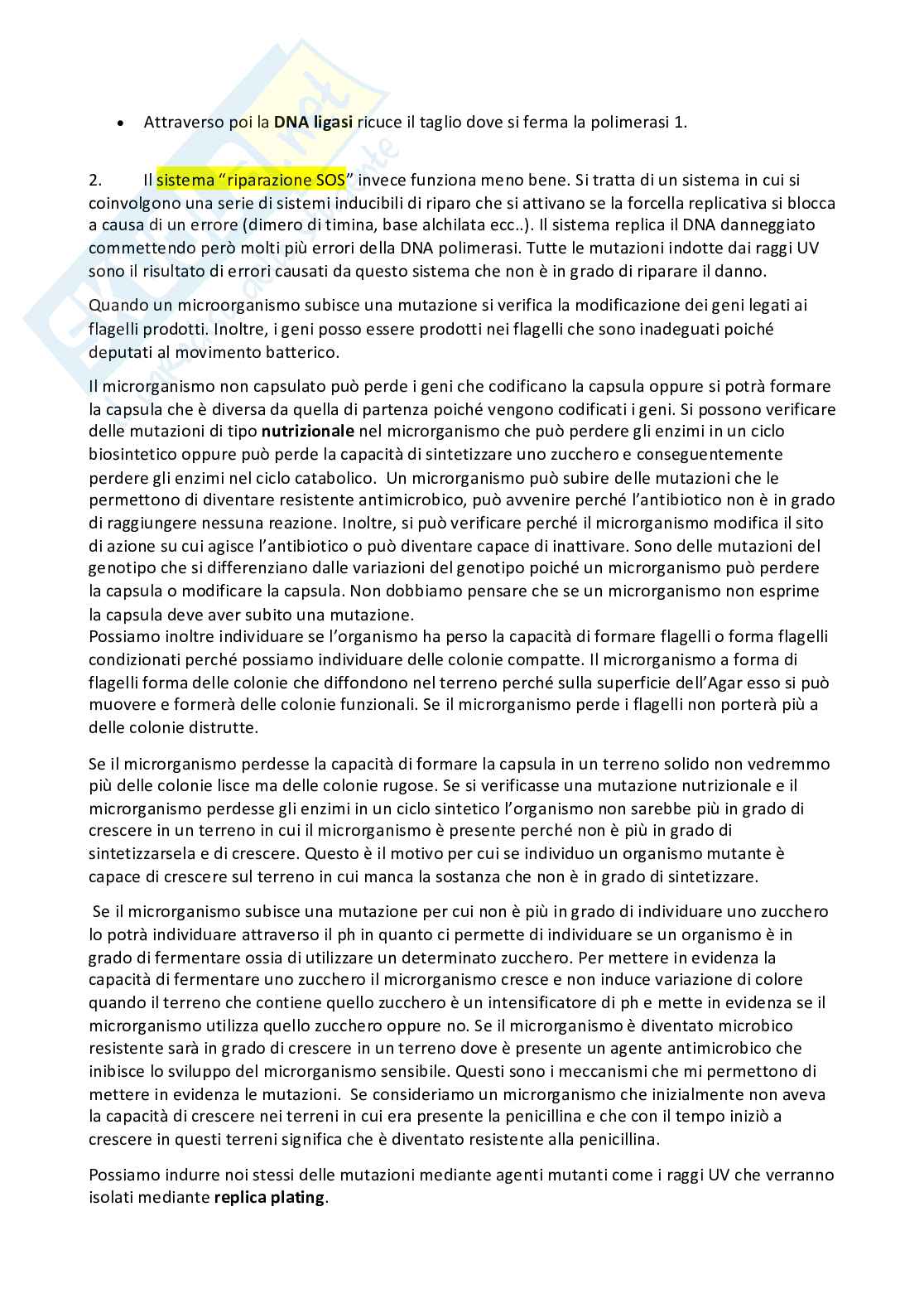 Microbiologia e microbiologia clinica - parte 2 Pag. 1