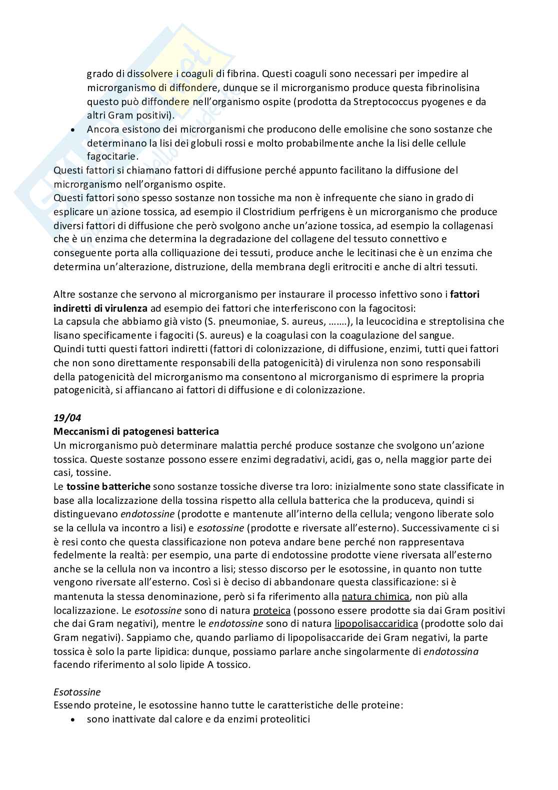 Microbiologia e microbiologia clinica - parte 2 Pag. 21