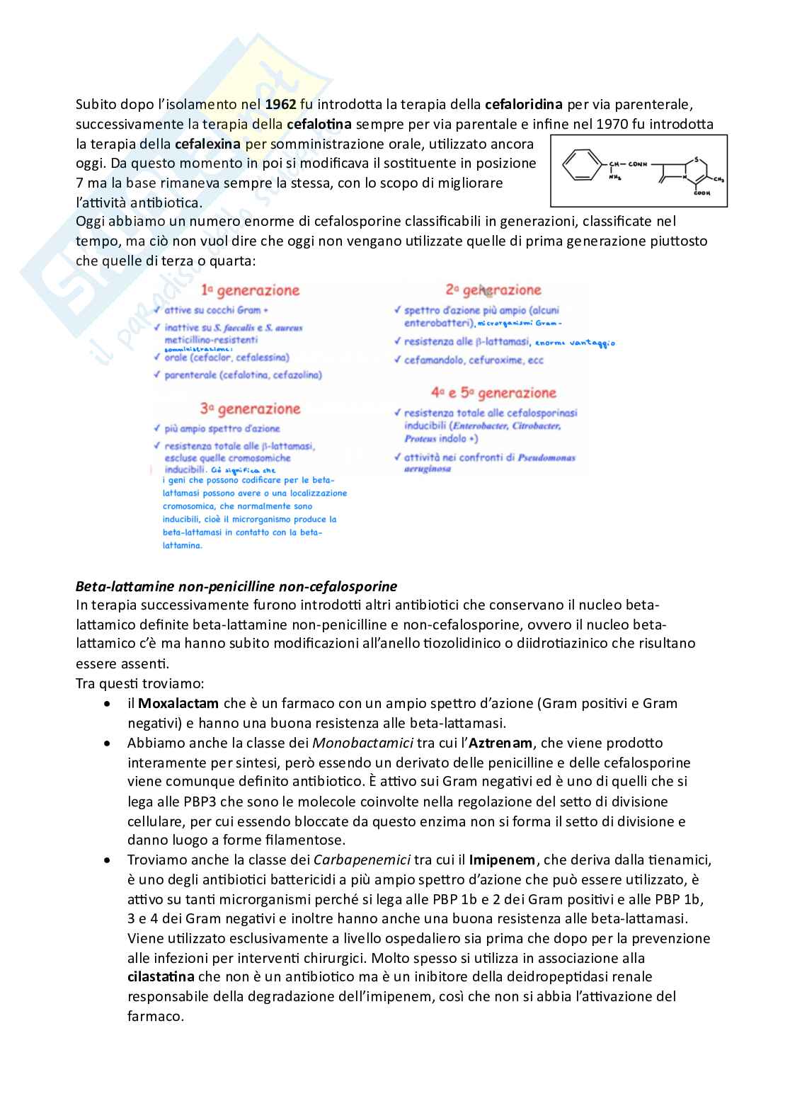Microbiologia e microbiologia clinica - parte 2 Pag. 46