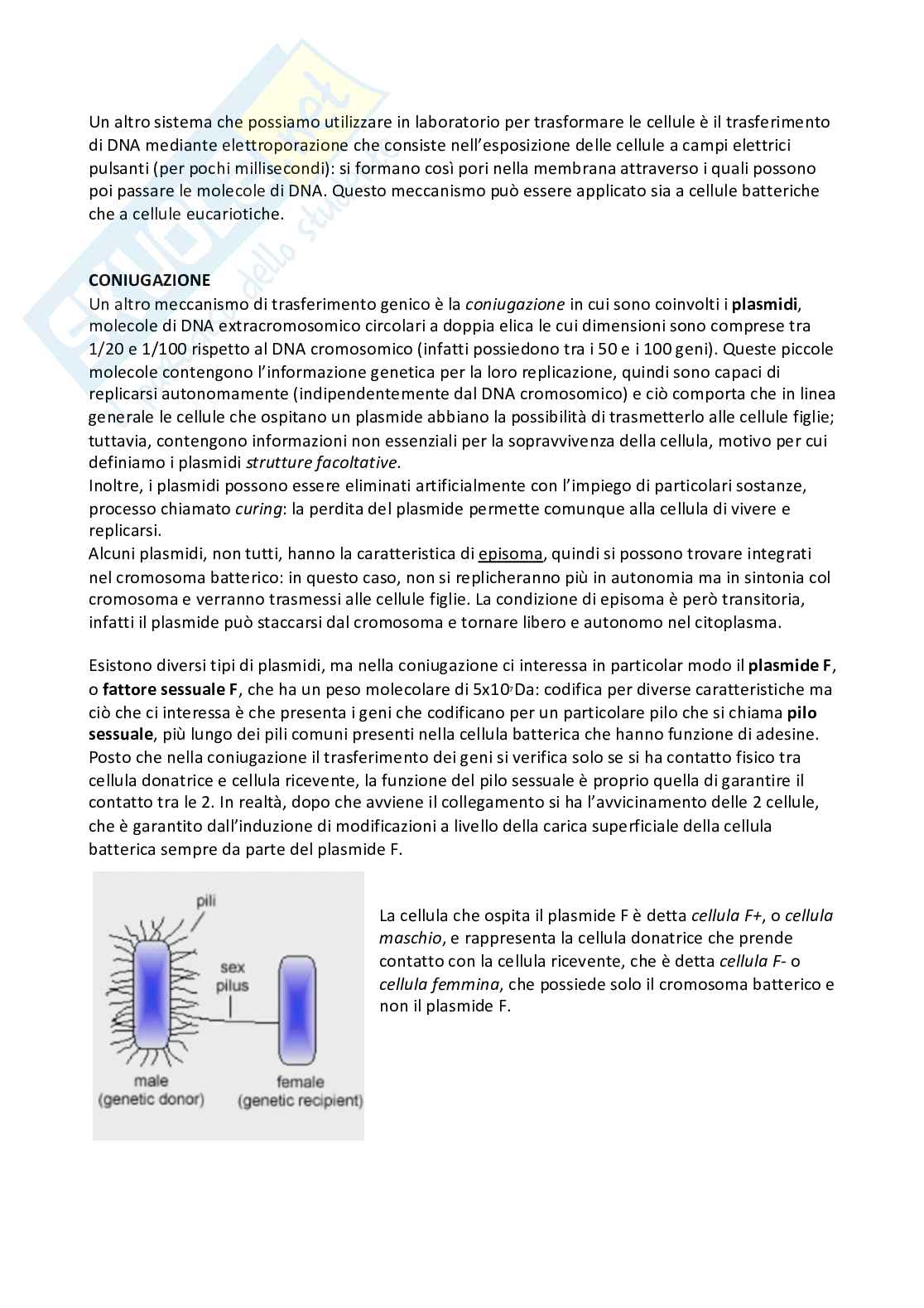 Microbiologia e microbiologia clinica - parte 2 Pag. 6