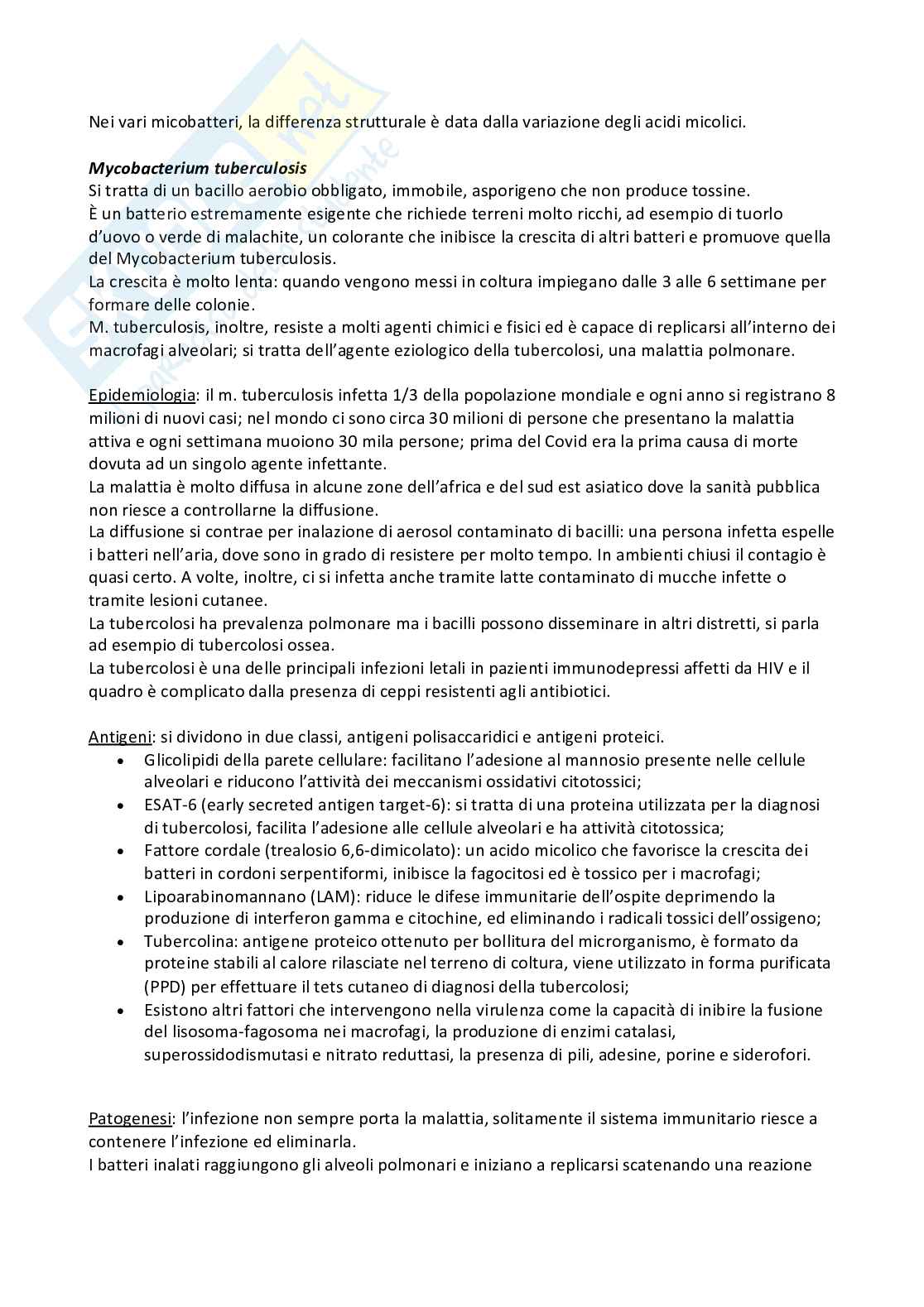 Microbiologia e microbiologia clinica - parte 2 Pag. 76